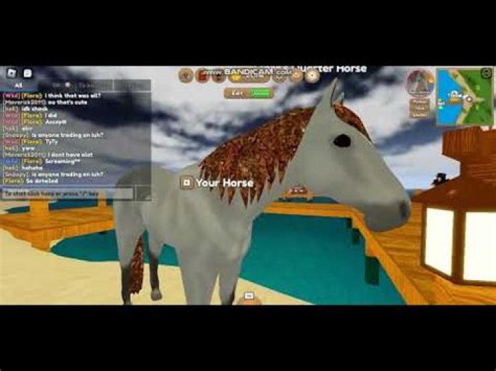 At what age should you stop breeding a horse?