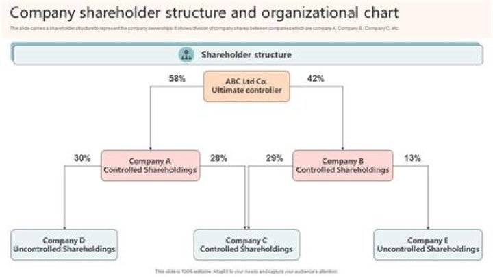 How can a company increase shareholders?