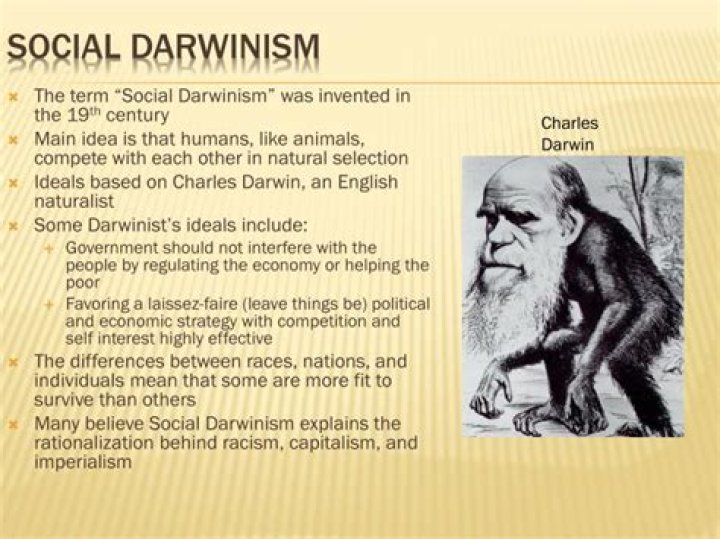 How did Social Darwinism affect American society?