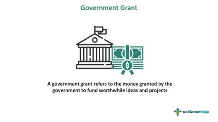 How do I ask for a government grant?