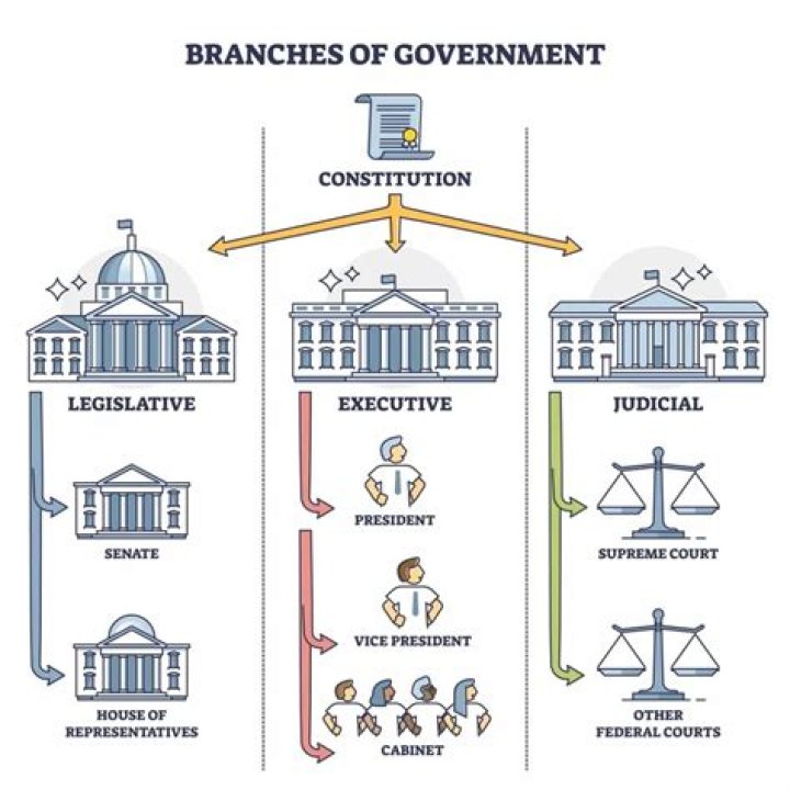 How does government influence an organization?