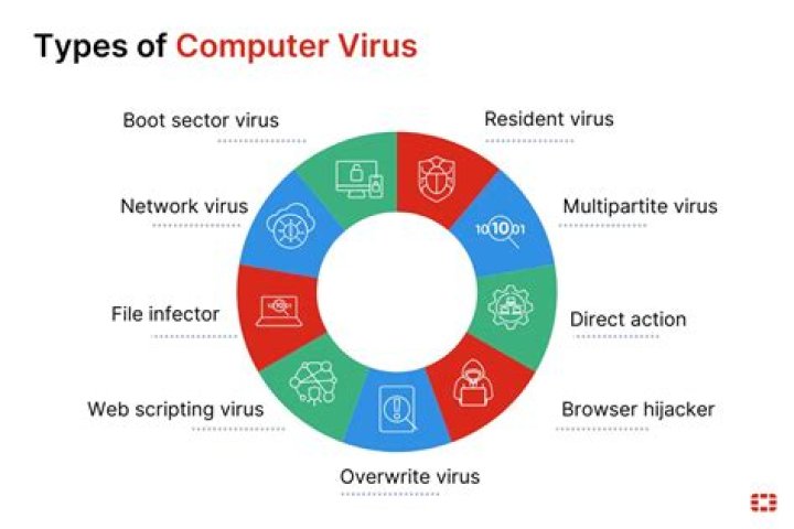 How is computer virus similar to a biological virus?