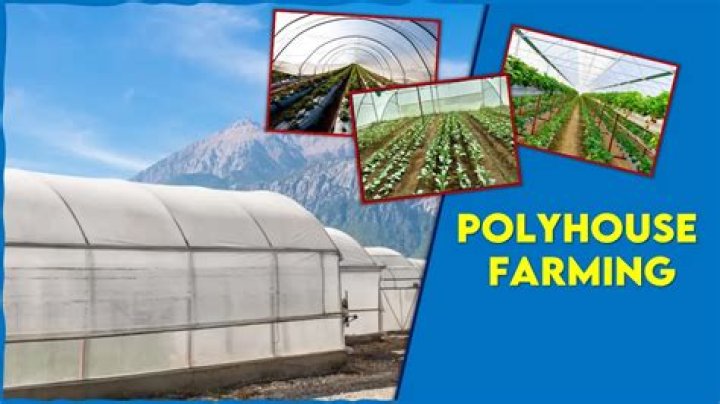 How much subsidy on polyhouse in Haryana?