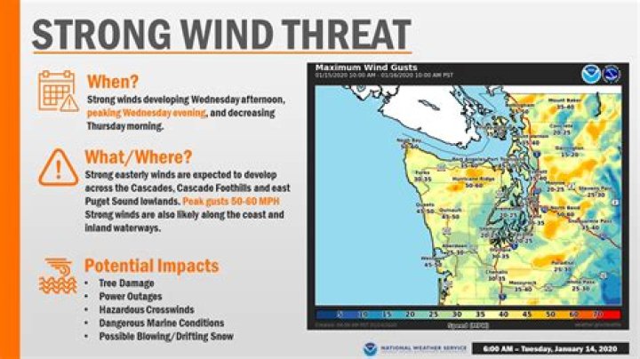 What are four industries in the Puget lowlands?