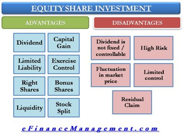What are the advantages and disadvantages of ordinary shares?