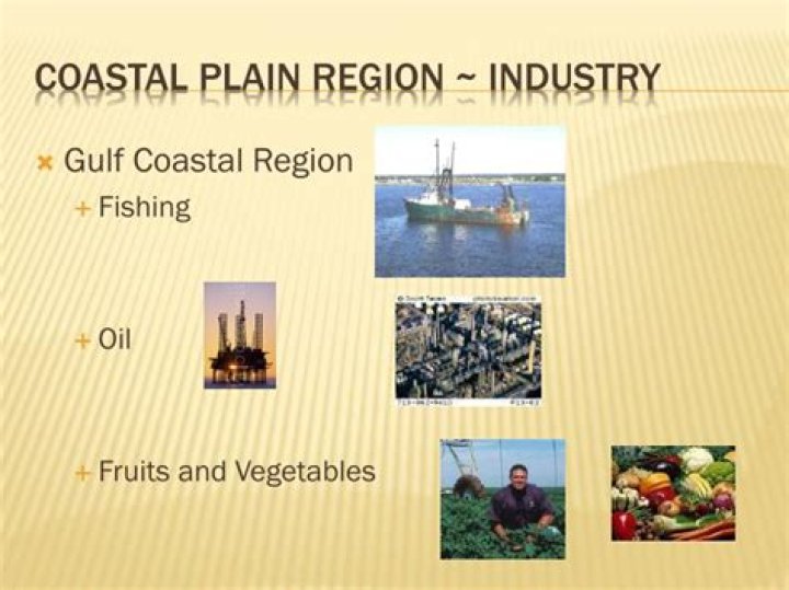 What are the major industries in coastal plains?