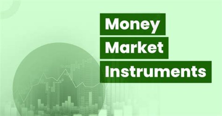 What are the money market instruments used in Pakistan?