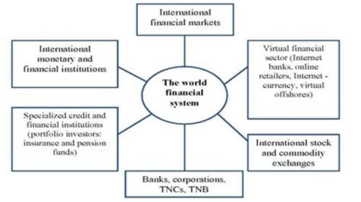 What are the structure and participants of the world financial system?