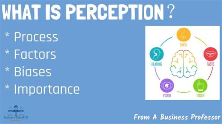 What are the types of perceptual bias?
