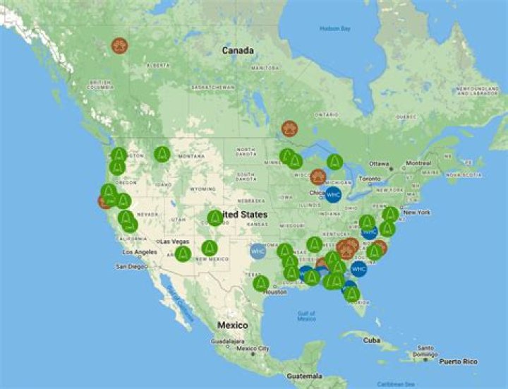 What companies does Georgia-Pacific own?