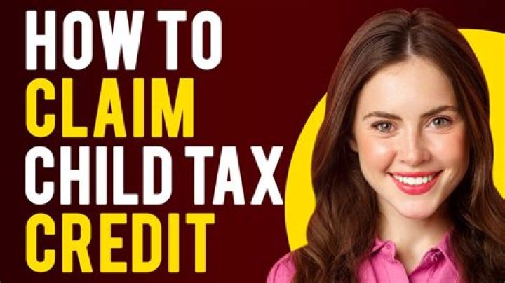 What happens if you claim too much tax credits?