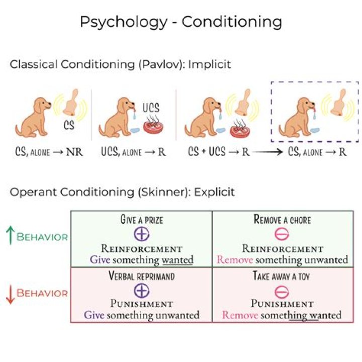 What is another term for face to face?