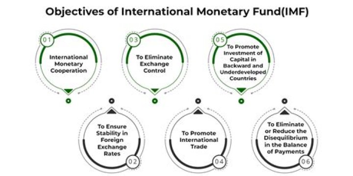 What is International Monetary Fund Code?