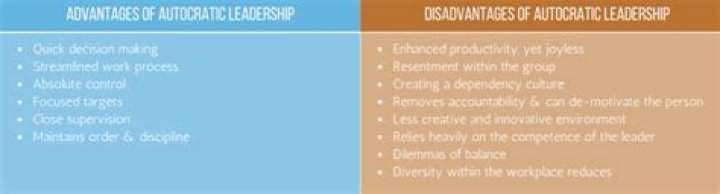 What is leadership advantages and disadvantages?