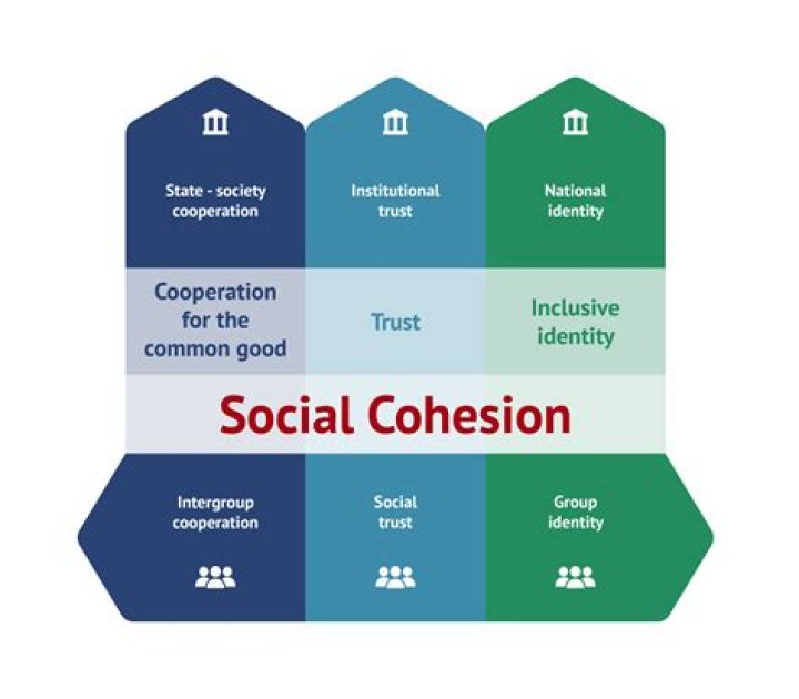What is social cohesion?