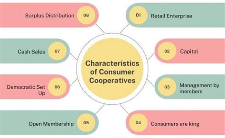 What is the difference between a cooperative and a limited company?