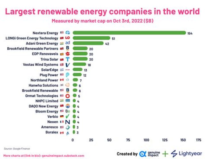What is the largest renewable energy company?