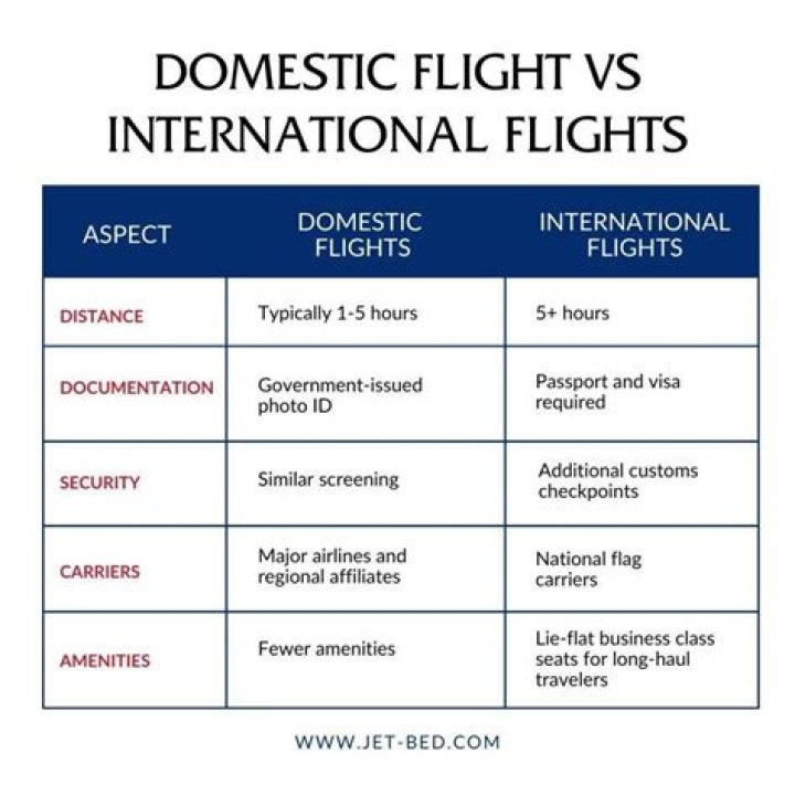 What is the meaning of domestic and international flights?