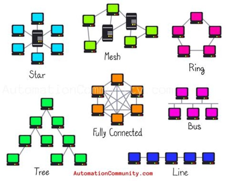 What is the most common network architecture?