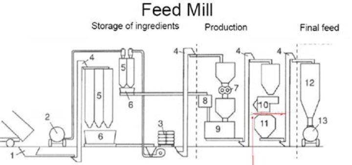 What is the purpose of a feed mill?