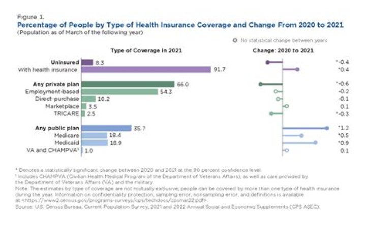 What percentage of your gross income goes to health insurance?