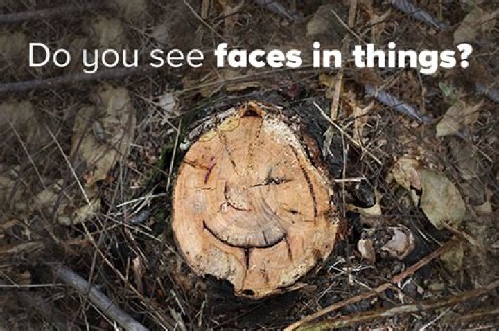 Where do we see ads?