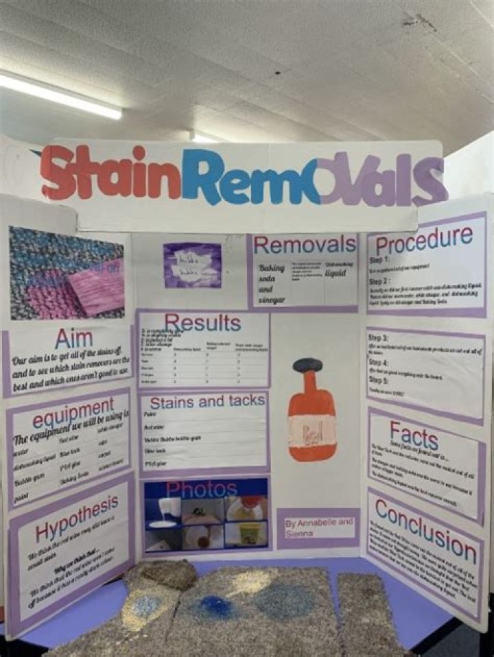 Which stain remover works best?