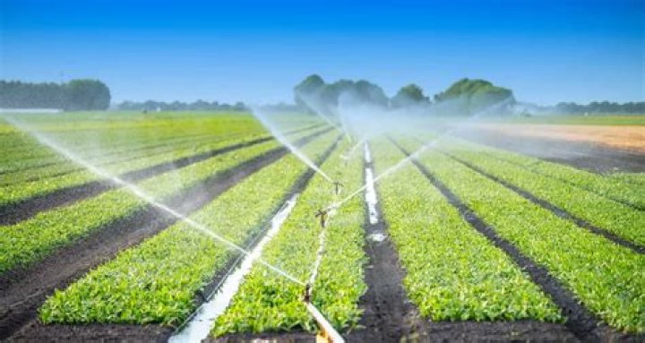 Why do farmers need irrigation?