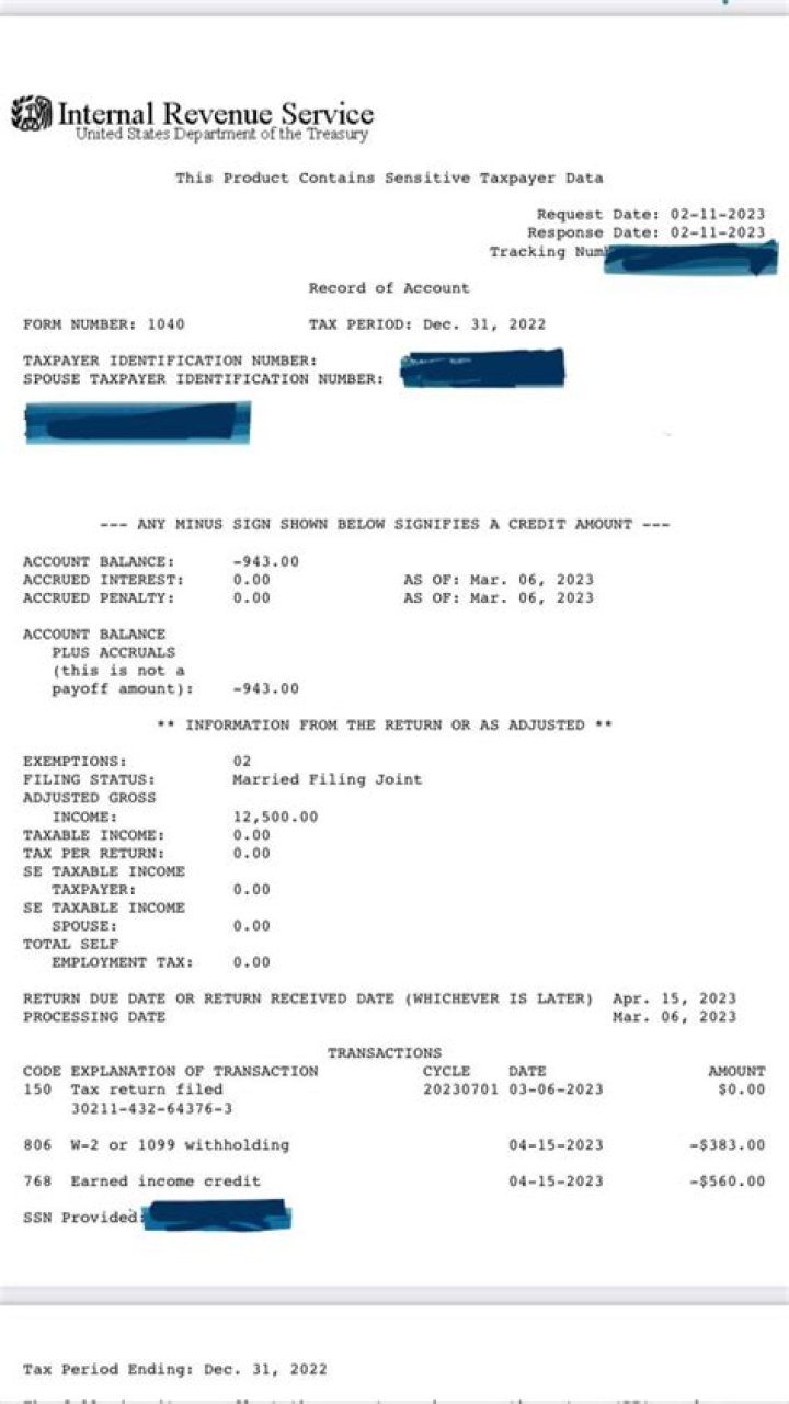 Why do lenders need tax transcripts?