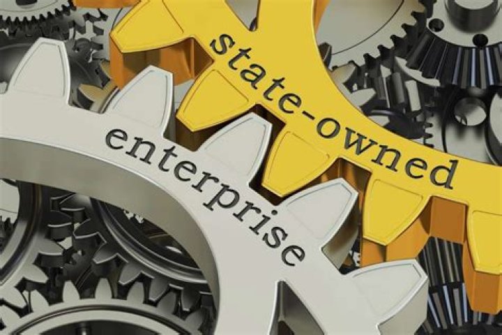 Why do state owned enterprises exist?