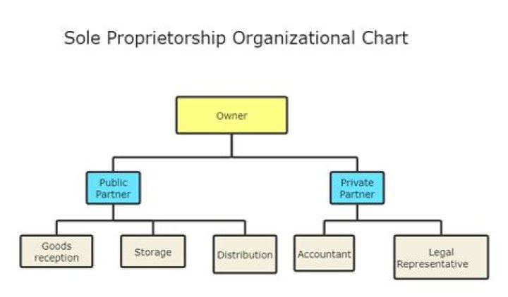 Why is the sole proprietorship a common form of business organization in West Africa?