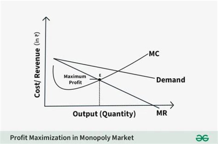 Why might short term profit maximization not be an appropriate objective for a car manufacturer?