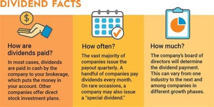 Why would a company pay dividends?